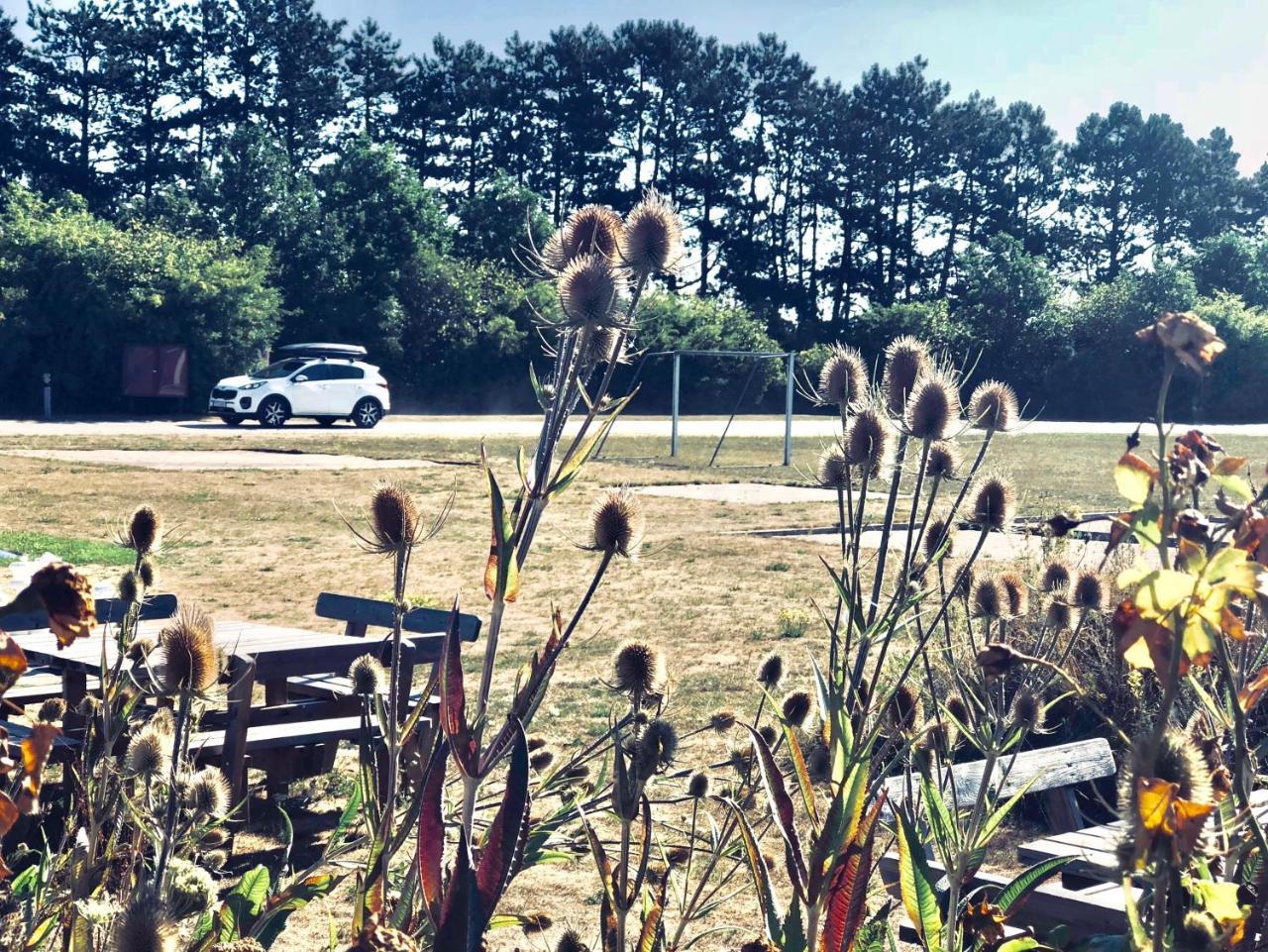 Danhostel Ishoj Strand Luaran gambar
